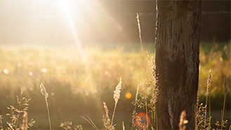 自动攻击网站工具下载