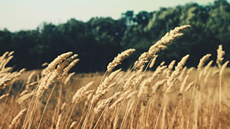 病毒防护的ddos压力测试网页端